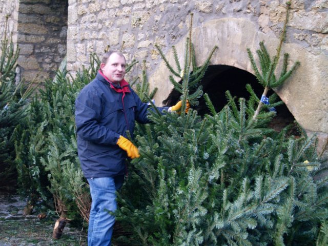 Weihnachtsbaumverkauf 2012